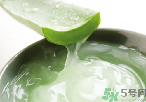 蘆薈膠可以天天用嗎？蘆薈膠天天用好不好？
