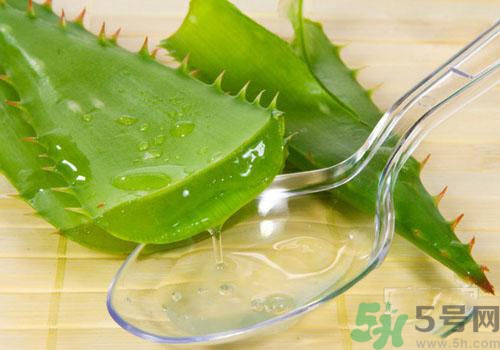 孕婦可以用蘆薈膠嗎？蘆薈膠孕婦可以用嗎？