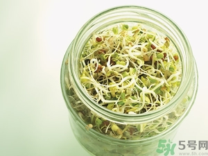 吃豆芽會胖嗎？豆芽會不會讓人長胖？