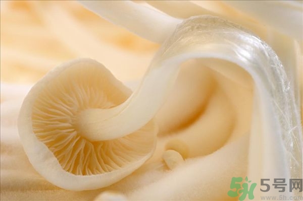 致癌金針菇怎么鑒別？如何選購(gòu)金針菇？