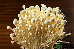 致癌金針菇怎么鑒別？如何選購金針菇？