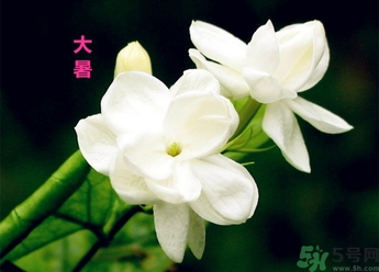 大暑是幾月幾日？大暑是什么意思？