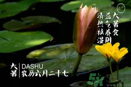 大暑是入伏嗎？大暑是最熱的時(shí)候嗎？