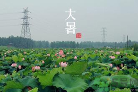 大暑吃什么養(yǎng)生？大暑吃什么好？