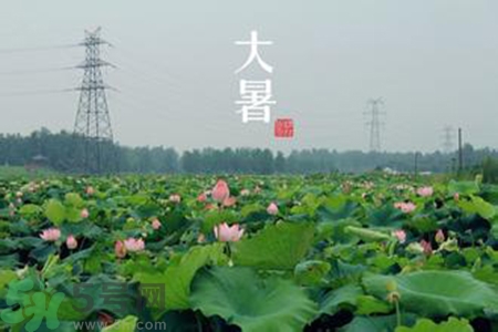 大暑吃什么水果？大暑吃什么水果養(yǎng)生？