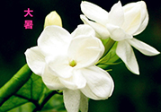 大暑是入伏嗎？大暑是最熱的時(shí)候嗎？