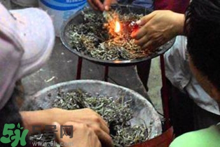 夏天可以用艾草驅(qū)蚊嗎？夏天可不可以用艾草驅(qū)蚊？