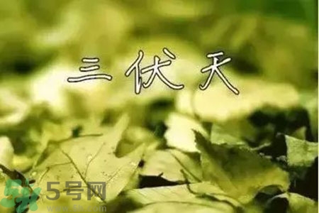 三伏天什么時(shí)候結(jié)束？三伏天是哪幾天？