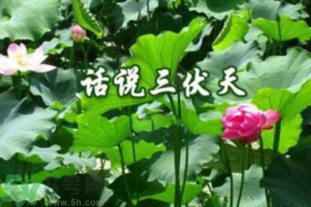 三伏天吃什么？三伏天傳統(tǒng)美食有哪些？
