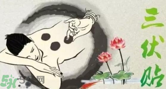 三伏貼的印子怎么去掉？三伏貼的印記多久才會消失？