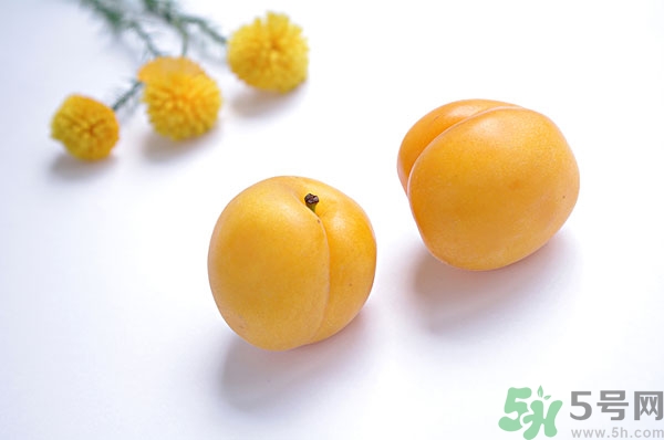 吃杏子能減肥嗎？杏子的功效與作用