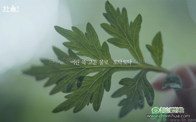 韓律艾草補(bǔ)水鎮(zhèn)靜噴霧怎么樣？好用嗎？