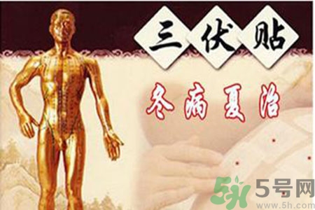 胃病可以貼三伏貼嗎？胃病貼三伏貼貼哪里？