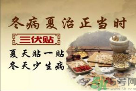 胃病可以貼三伏貼嗎？胃病貼三伏貼貼哪里？