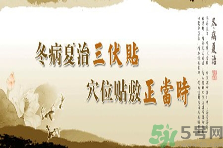 胃病可以貼三伏貼嗎？胃病貼三伏貼貼哪里？
