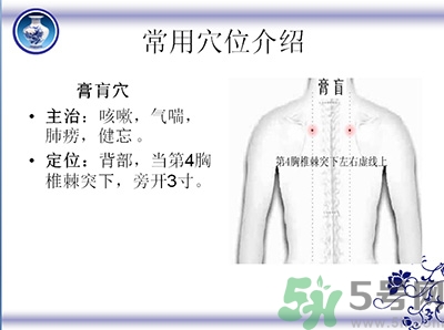 三伏貼可以貼肚臍嗎？三伏貼可以貼肚臍眼嗎？