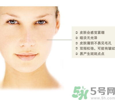 干性皮膚用什么洗面奶？干性皮膚該怎么保養(yǎng)？