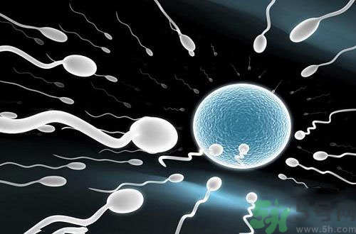 高溫對(duì)精子有影響嗎？高溫對(duì)精子有什么影響？