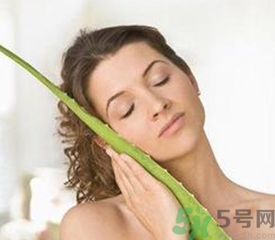 蘆薈膠會(huì)堵塞毛孔嗎？蘆薈膠應(yīng)該怎么用？