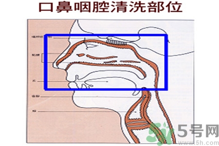 鼻炎能用生理鹽水清理鼻腔嗎？鼻炎能不能用生理鹽水清理鼻腔？