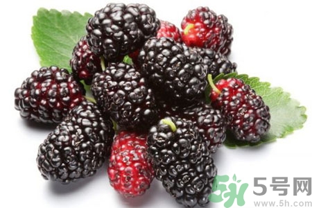桑葚怎么洗？桑葚怎么保存？
