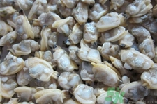 花蛤的營養(yǎng)價(jià)值有哪些？生取蛤肉的方法是什么？