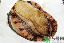 鮑魚如何挑選？鮑魚如何保存？