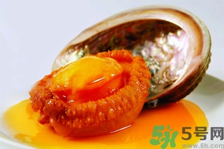 鮑魚如何挑選？鮑魚如何保存？