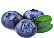 怎么挑選藍(lán)莓？藍(lán)莓怎么保存？