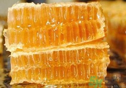 蜂膠是什么東西？蜂膠可以長期服用嗎？