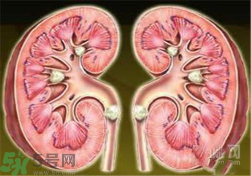 慢性腎炎能治好嗎？慢性腎炎能活多久？