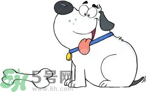 七夕單身狗怎么過？單身怎么過七夕？