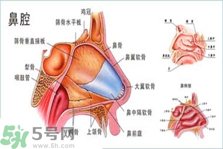 鼻竇炎的護(hù)理措施？鼻竇炎的飲食護(hù)理？