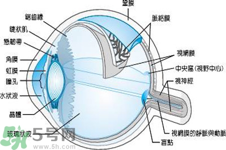 近視眼是什么？近視眼的癥狀有哪些？