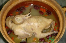 孕婦可以喝鴿子湯嗎？鴿子湯的功效與作用