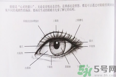 白內(nèi)障的發(fā)病因素是什么？白內(nèi)障并發(fā)癥有哪些？