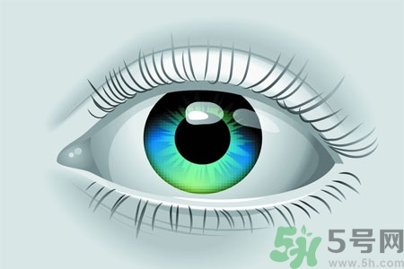 青光眼的高發(fā)人群有哪些？如何預(yù)防青光眼？