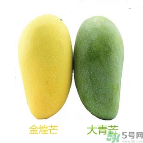 青芒和黃色芒果哪個好？青芒和黃色芒果的區(qū)別