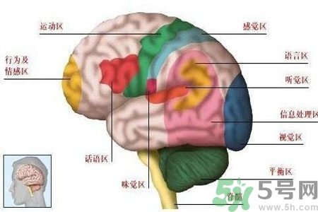腦出血的高發(fā)人群有哪些？如何預(yù)防腦出血？