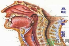 鼻咽癌的治療方法是什么？鼻咽癌可以用什么藥物治療？
