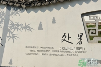 處暑吃什么水果？處暑養(yǎng)生水果推薦
