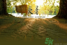 處暑為什么要吃鴨？處暑吃鴨的好處有哪些？