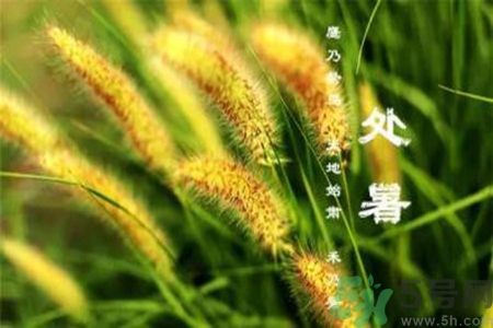 處暑出生的人怎么取名？處暑出生的人的命運(yùn)？