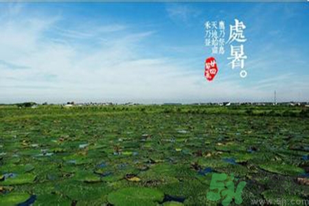 處暑出生的人怎么取名？處暑出生的人的命運？