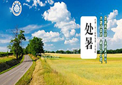 處暑出生的人怎么取名？處暑出生的人的命運？