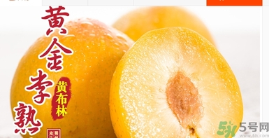 恐龍蛋水果怎么吃？恐龍蛋水果皮能吃嗎？