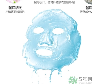 一葉子適合什么年齡？一葉子適合多大年齡？