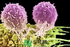 不宜過多食用辣椒的人群有哪些？夏天吃辣椒的好處有哪些？