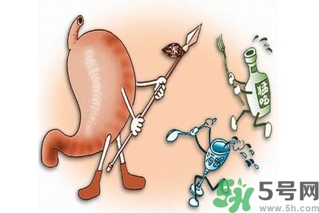 哪些食物幫你在酒后保養(yǎng)胃部？養(yǎng)胃護(hù)胃的誤區(qū)是什么？