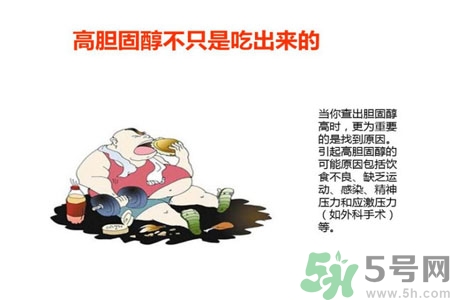 高膽固醇人群該怎么辦？膽固醇高需注意什么？